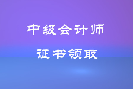 中级会计师河南(中级会计师河南资格审核都审核些什么)