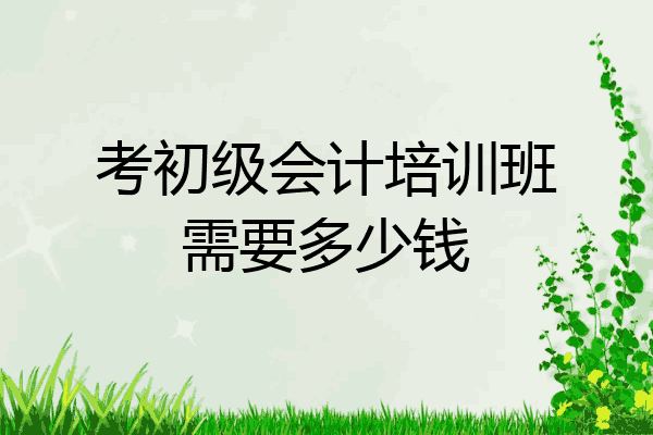 初级会计培训费多少钱啊一年(初级会计培训费多少钱啊一年啊)